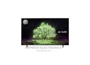 Smart Connectivity OLED55CS6LA LG Tv 