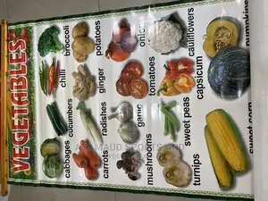Original Kids Learning Material at Cool Price