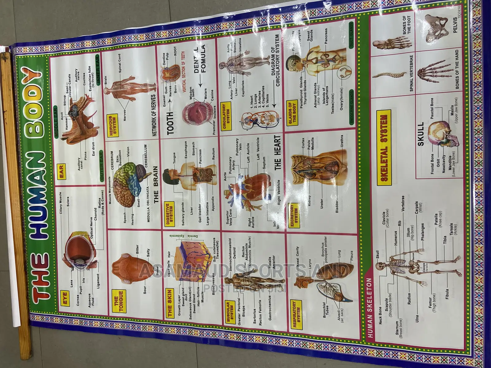Original Kids Learning Material at Cool Price