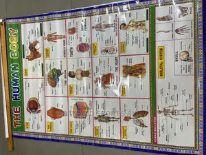 Original Kids Learning Material at Cool Price