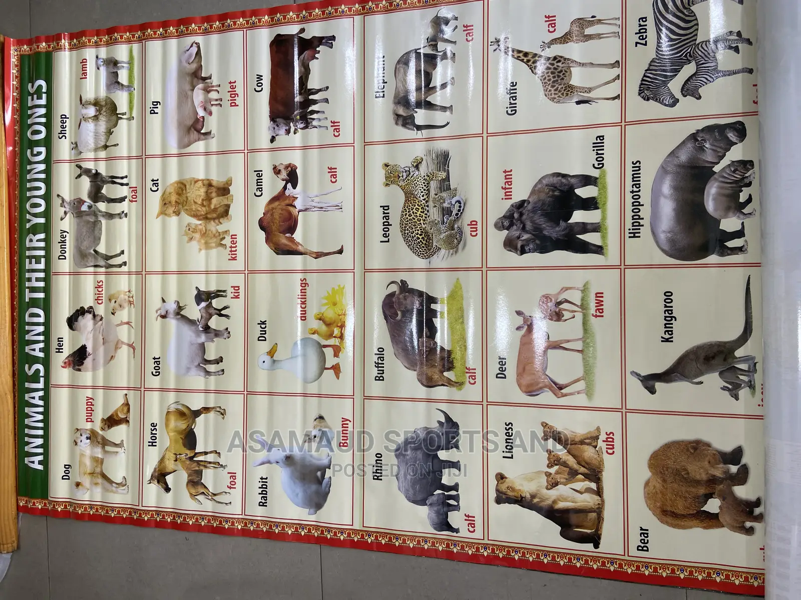 Original Kids Learning Material at Cool Price