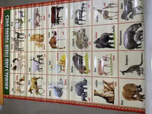 Original Kids Learning Material at Cool Price