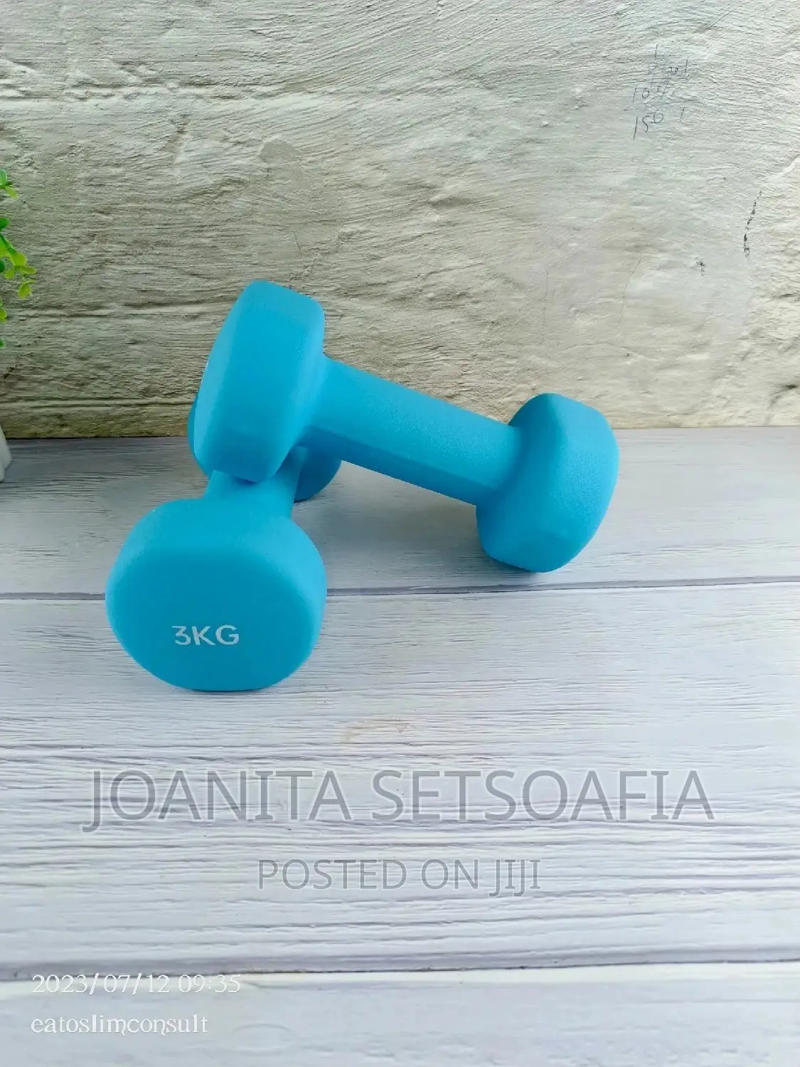 3kg Dumbbell