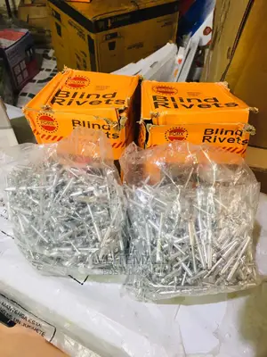 500pcs Aluminum Blind Rivets (4.8x19)