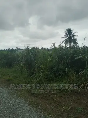 Two Plot of Land for Sale