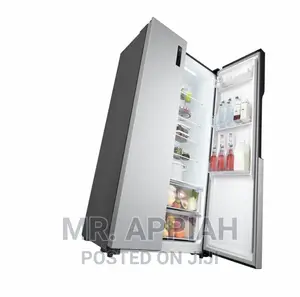 High Quality LG GCFB507PQAM Side by Side Refrigerator(519).