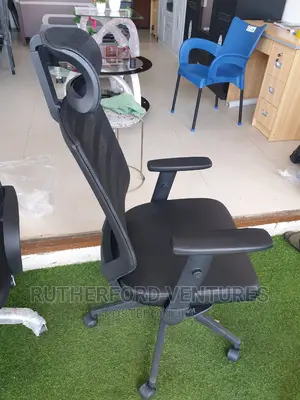 Ergonomic Mesh Chair