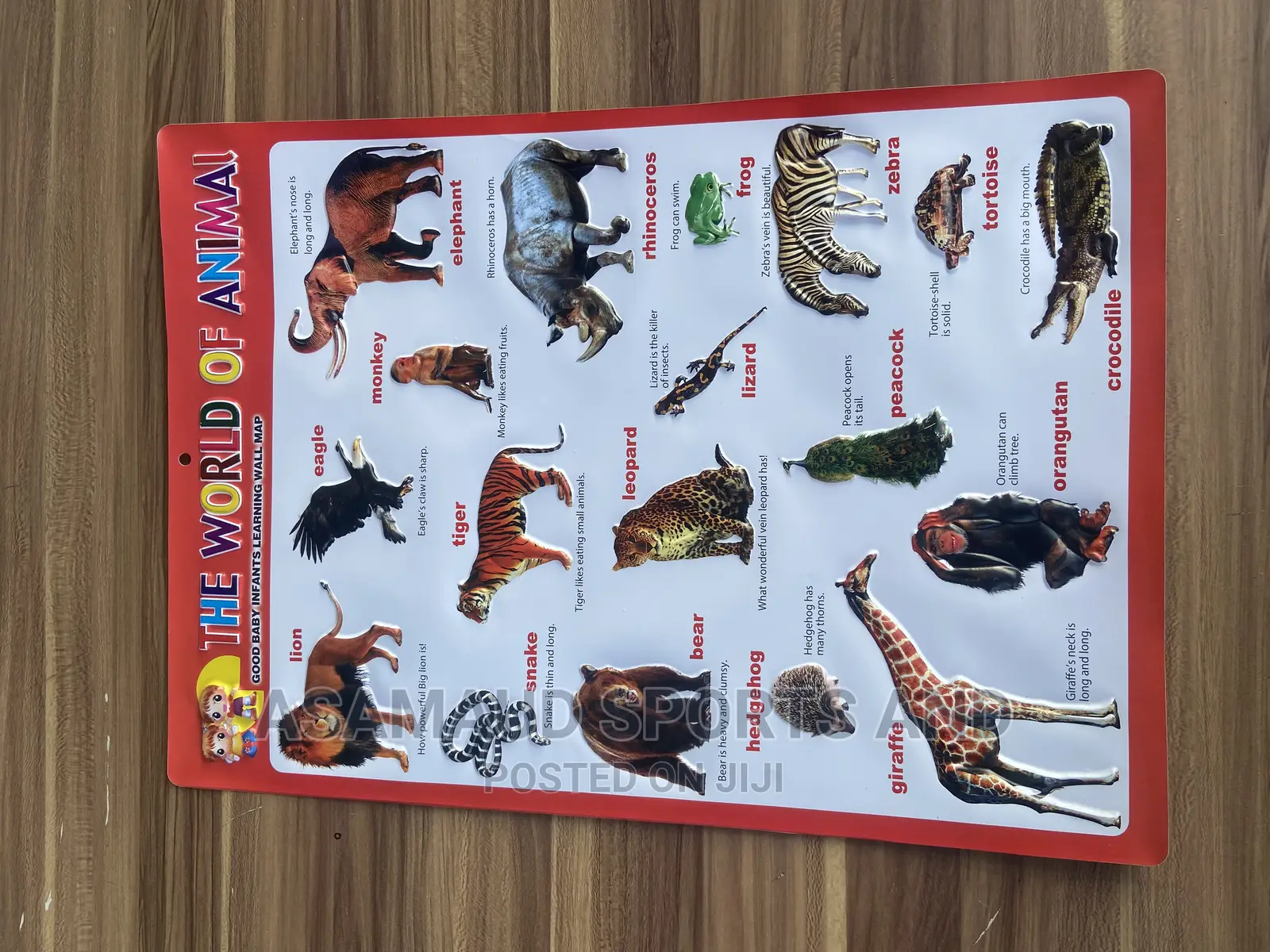 Original Kids Learning Material Knowing Animals Available