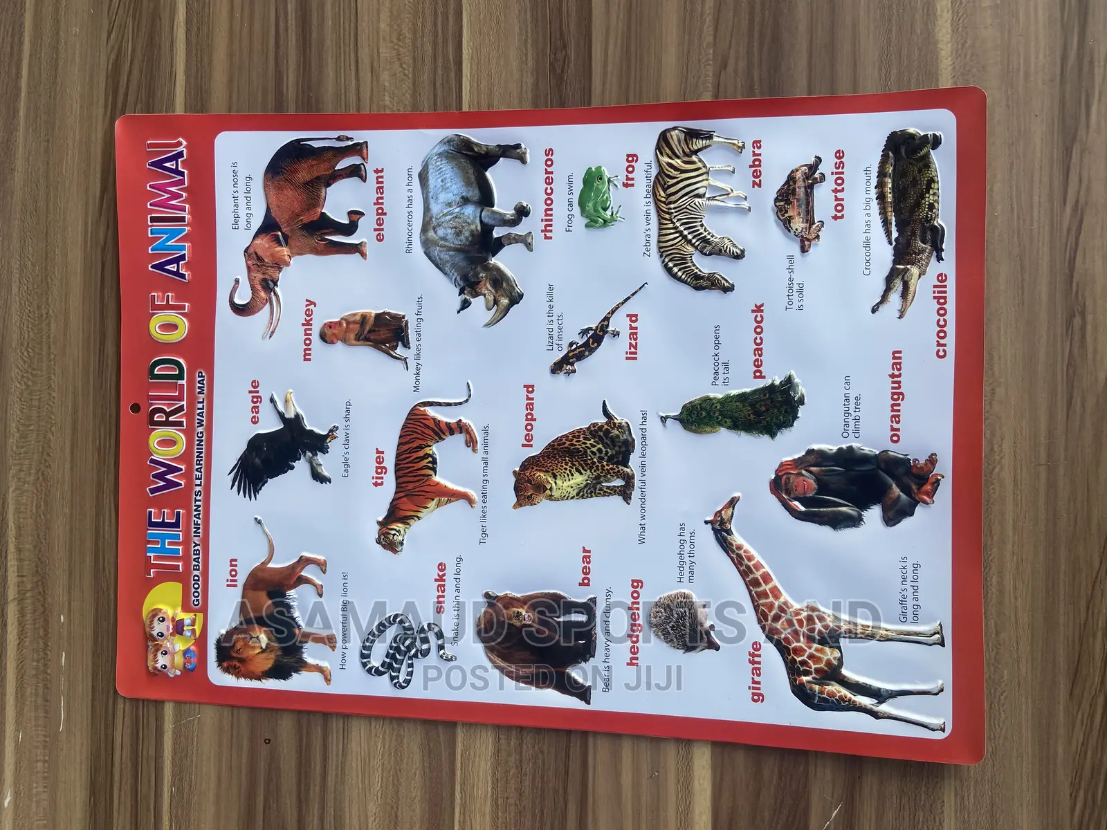 Original Kids Learning Material Knowing Animals Available