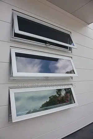 Project Window