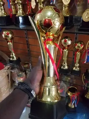 Original Trophy At Cool Price