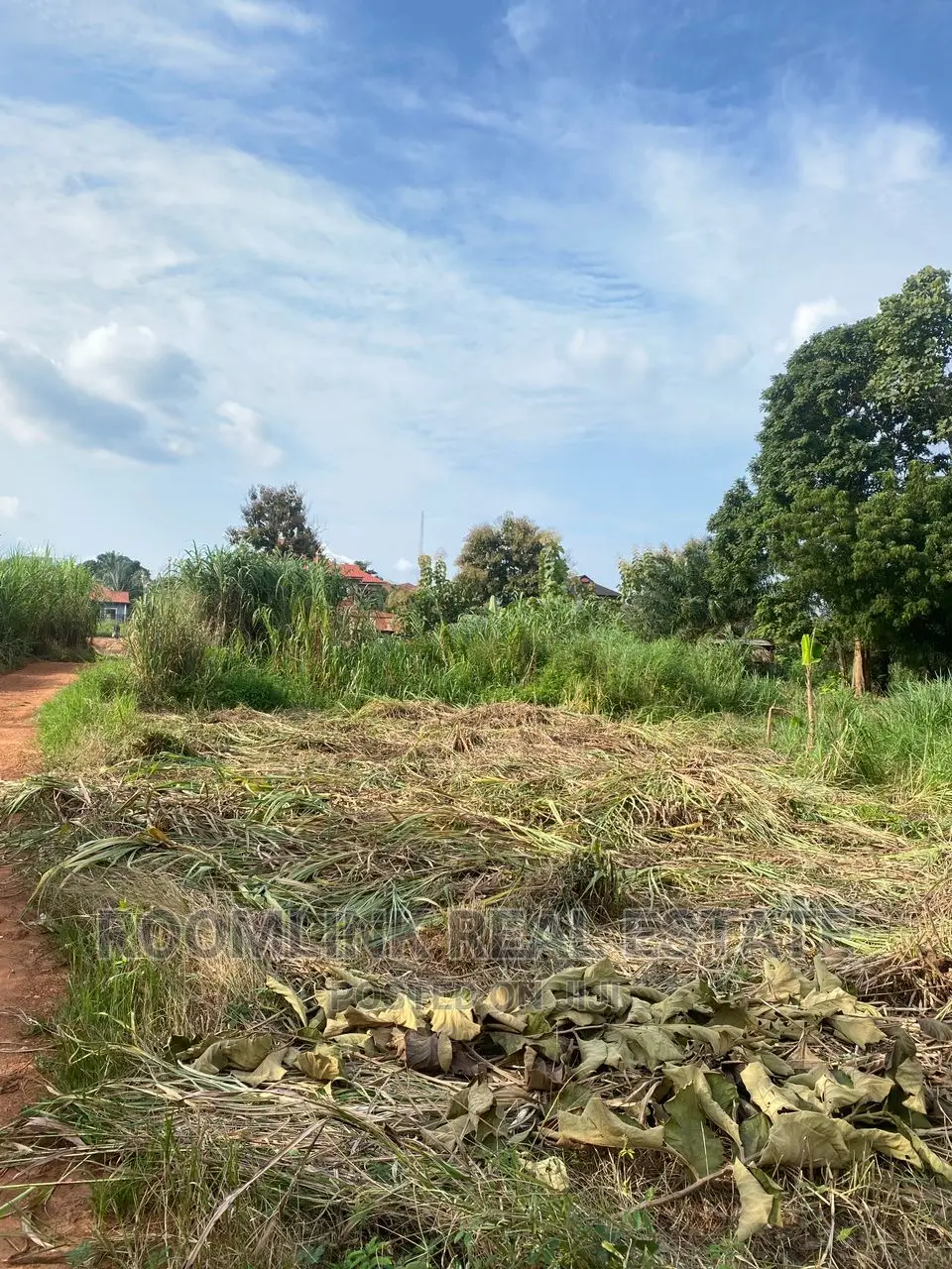 One Plot Between Eusbett Bank of Ghana