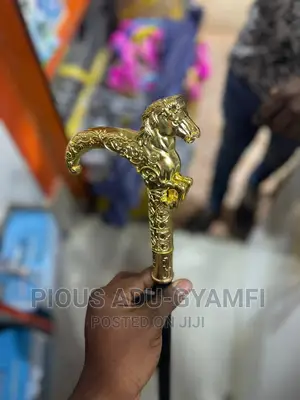 Fashion Walking Stick