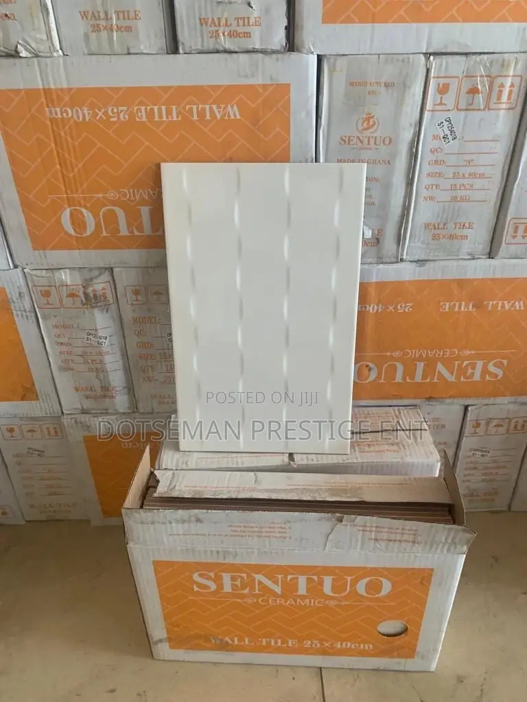 25/40 Indoor Wall Tiles