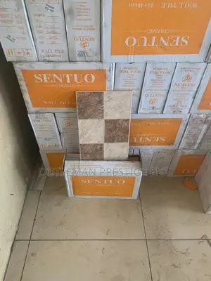 25/40 Indoor Wall Tiles