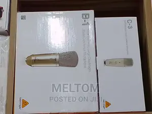 Behringer B-1 Studio Condenser Microphone