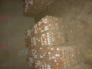 Eggs From Farm