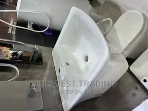 Wall Hung Basin - Wash Hand Basin