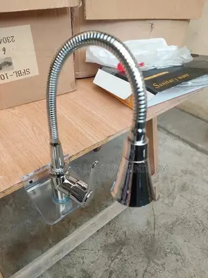 Modern Chrome Plated Flexible Hot and Cold Kitchen Faucet