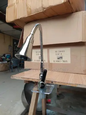 Modern Chrome Plated Flexible Hot and Cold Kitchen Faucet