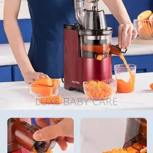 Fruits Juicer