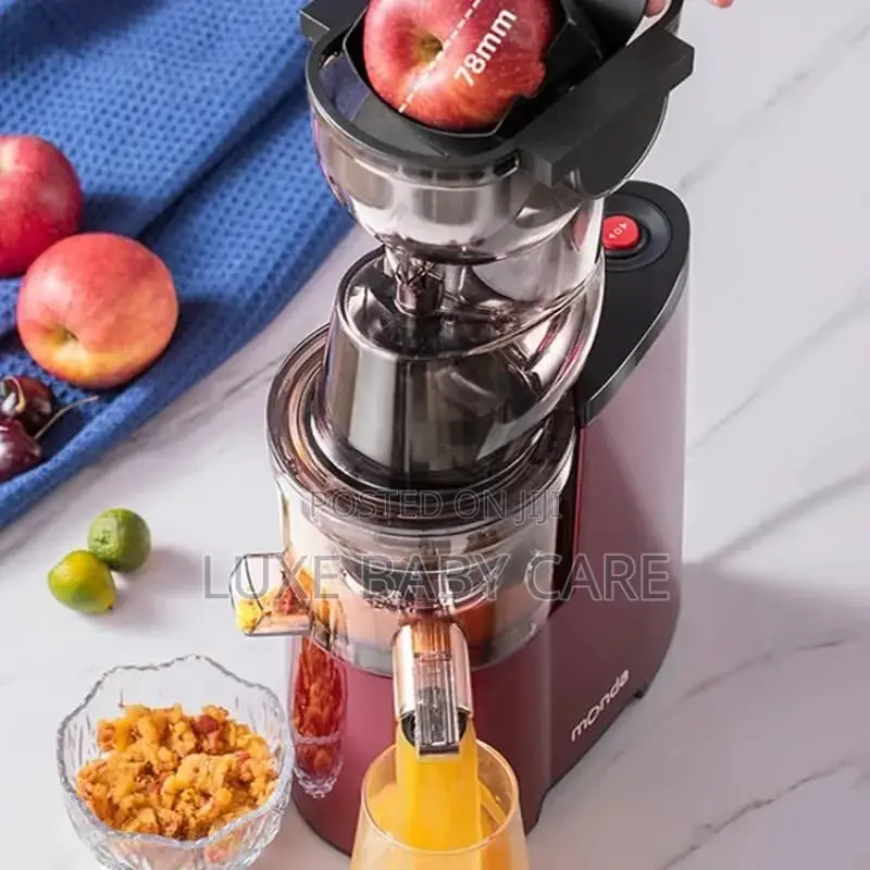 Fruits Juicer