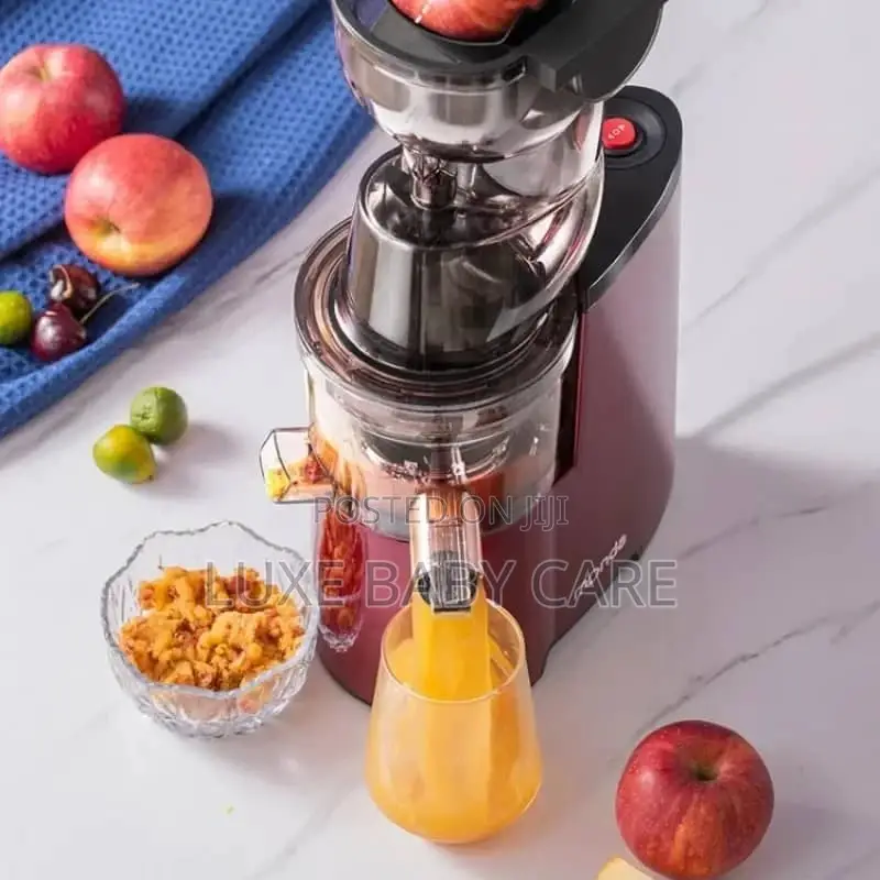 Fruits Juicer