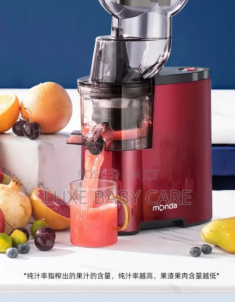 Fruits Juicer