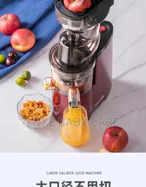 Fruits Juicer