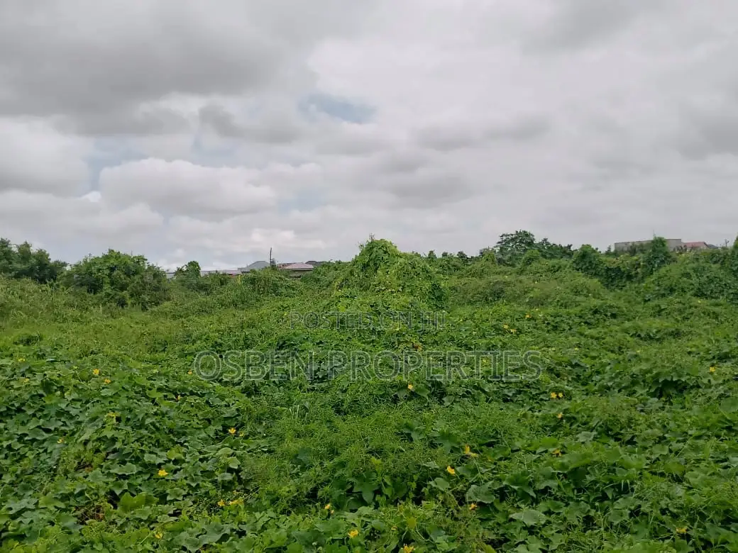 2.6 Acres Road Side Title Land For Sale