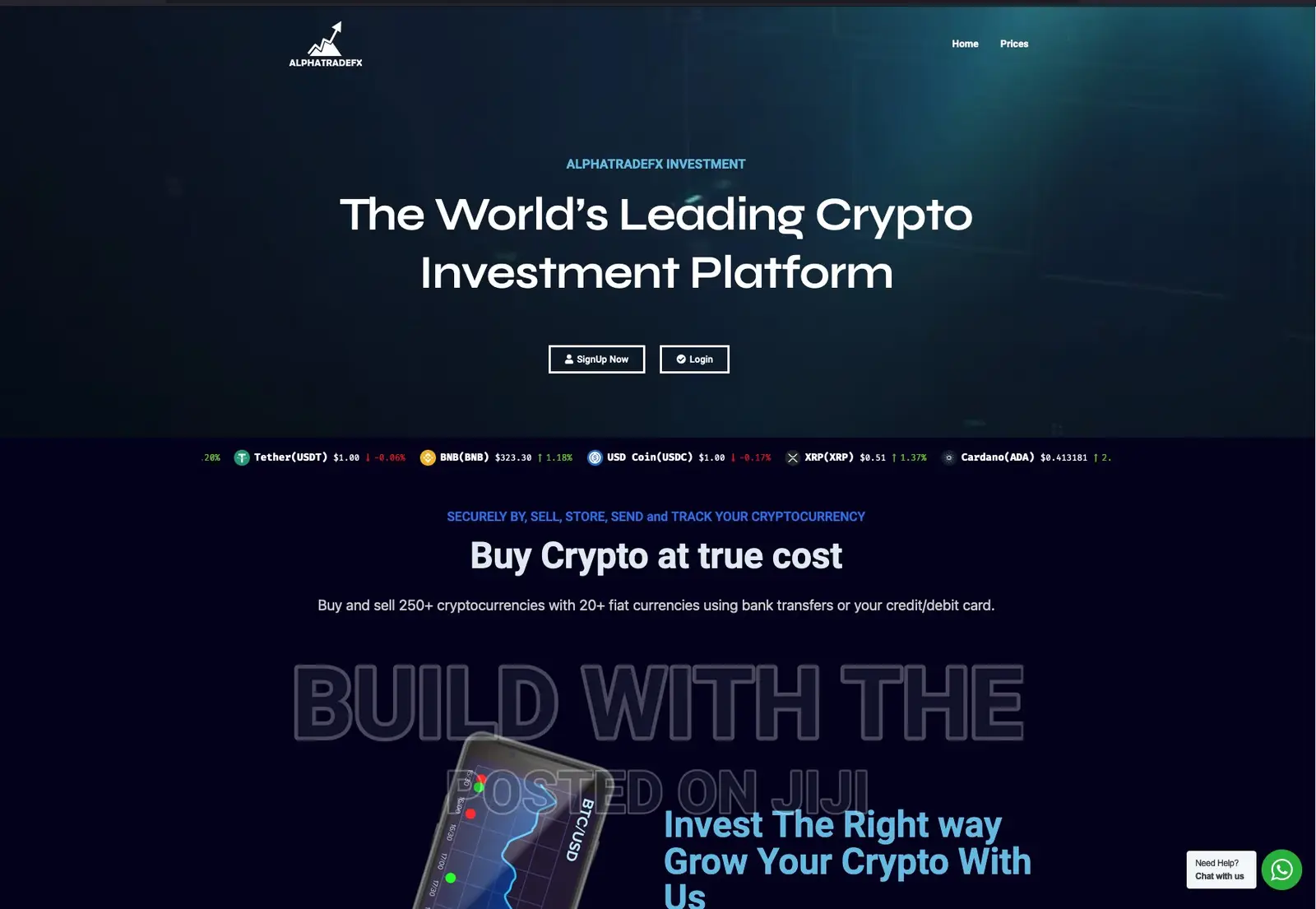 Website Development