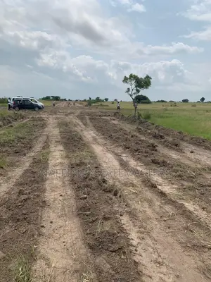 Look Here for All Your Genuine and Affordable Plots