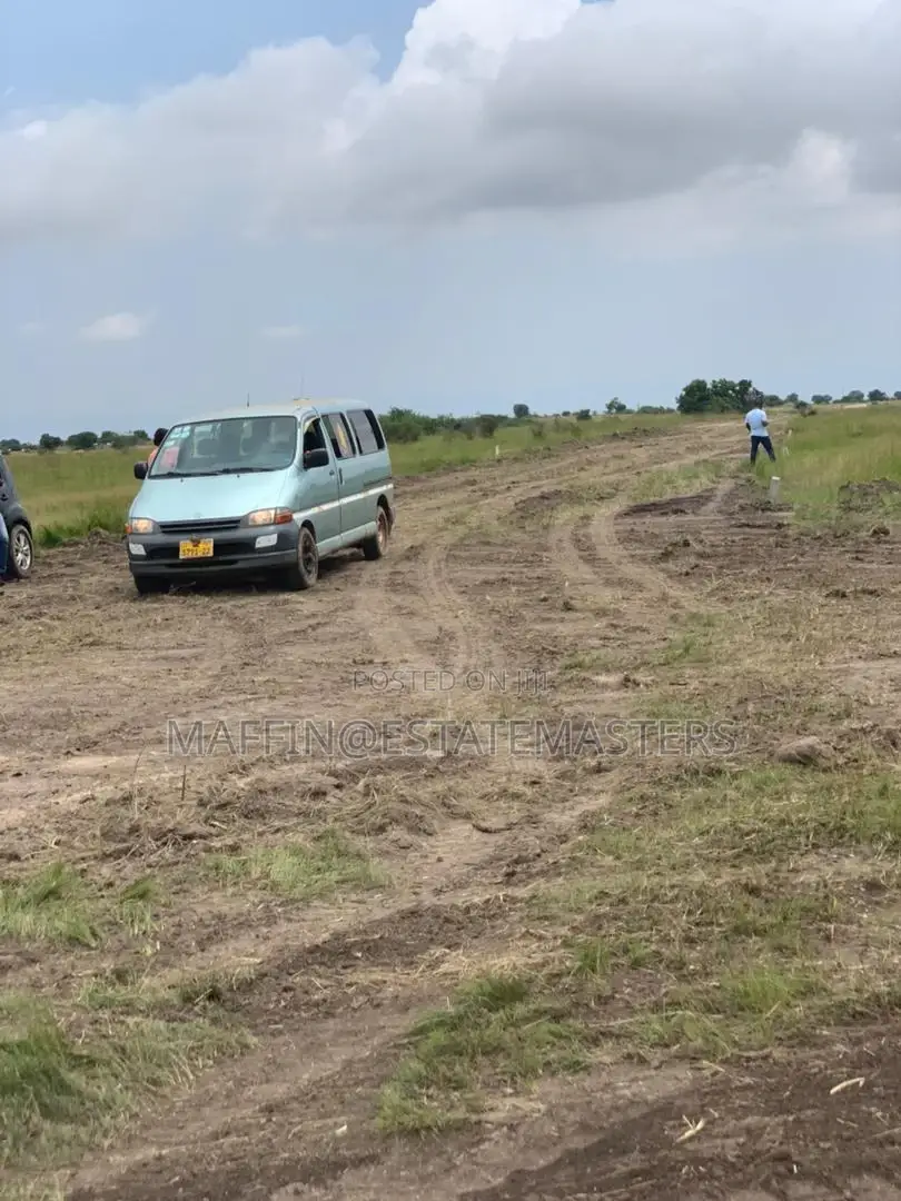 Look Here for All Your Genuine and Affordable Plots