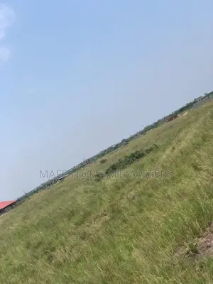 Flat Beautiful Plot at Tsopoli New Airport City and Ning