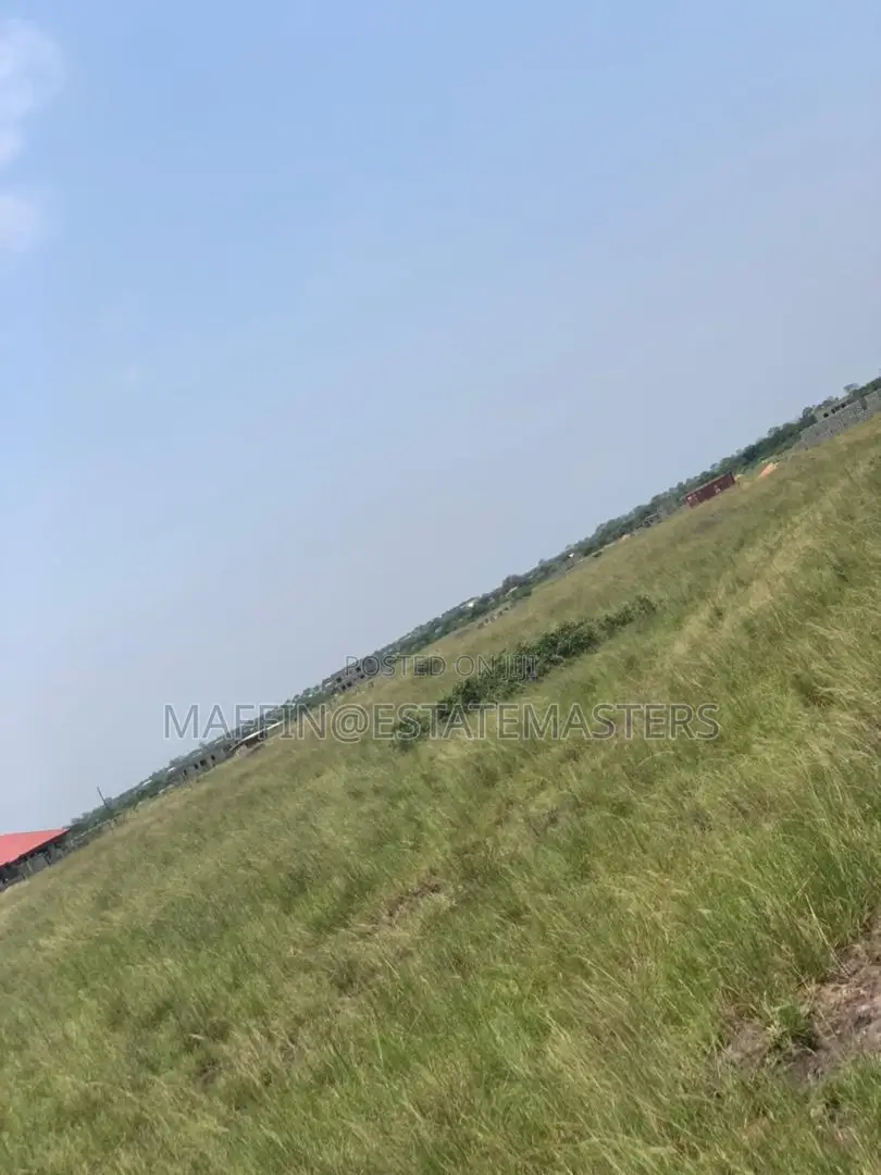 Flat Beautiful Plot at Tsopoli New Airport City and Ning