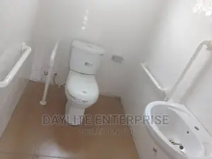 Disabled Grab Bar Rail Set