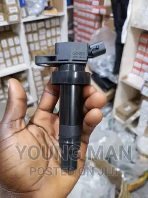 Hyundai Accent, Tucson, Elantra, Sonata, Santa Fe Coil