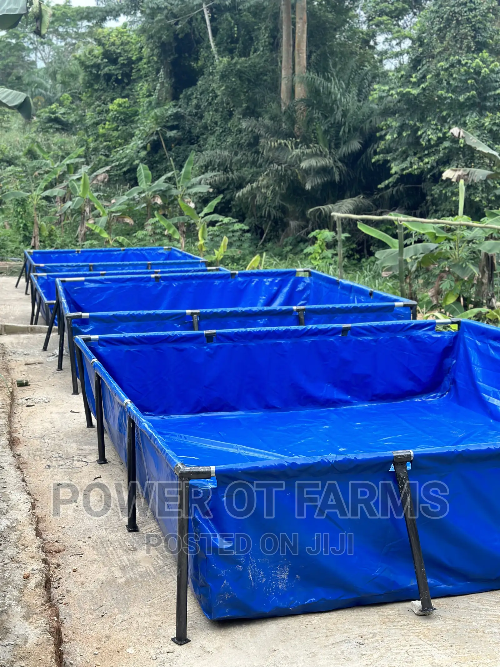 Tank for Fish Farming