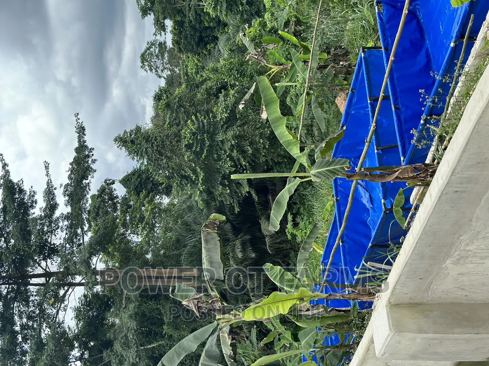 Tank for Fish Farming