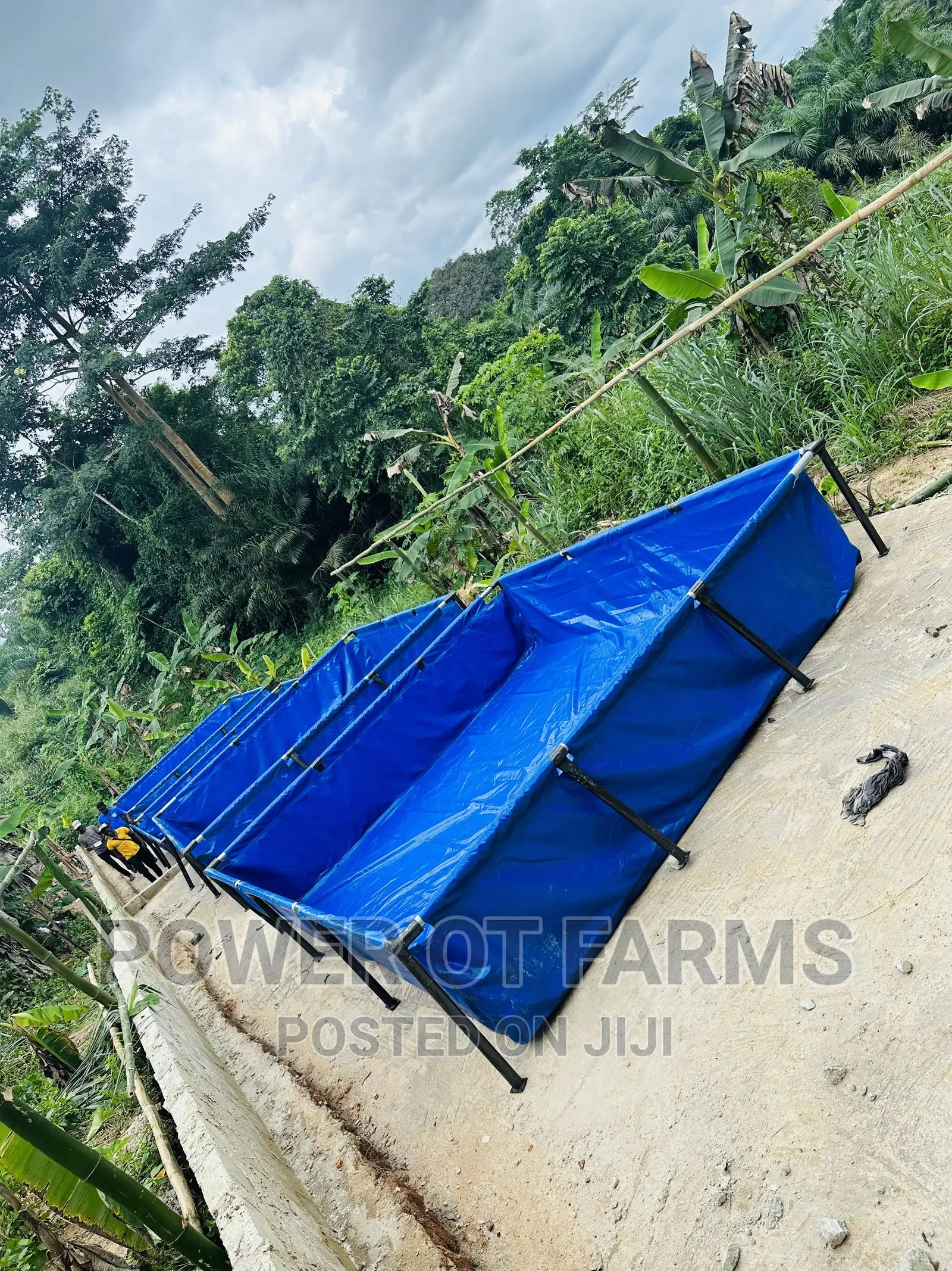 Tank for Fish Farming