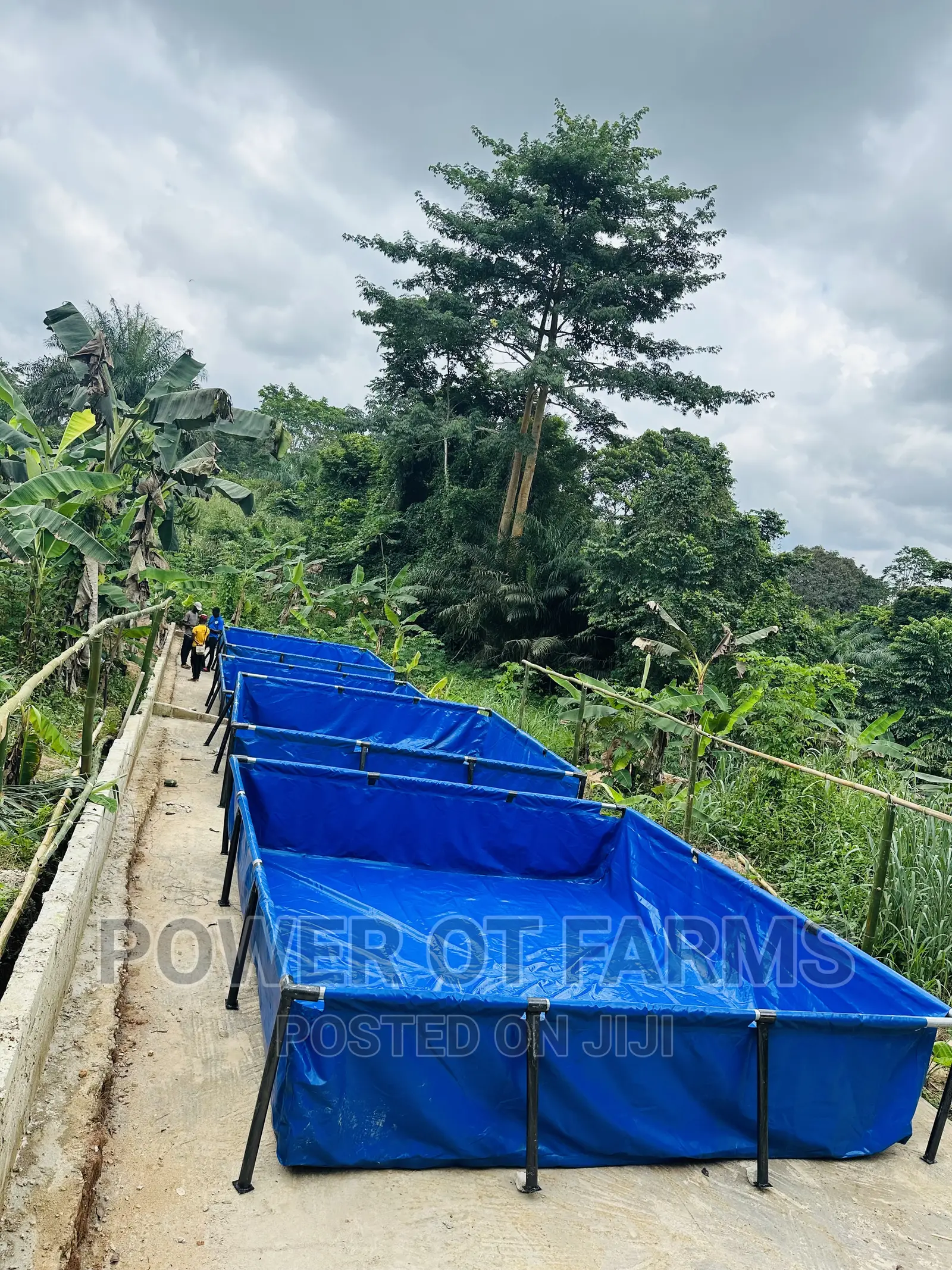 Tank for Fish Farming