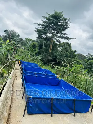 Tank for Fish Farming