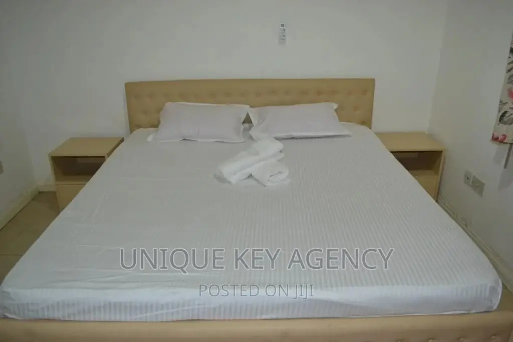 Furnished 3bdrm House in Unique Agency, East Legon for rent