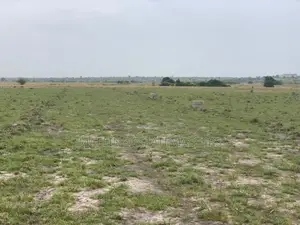 Suitable and Registered Land for Sale(Ningo Prampram/Tsopoli