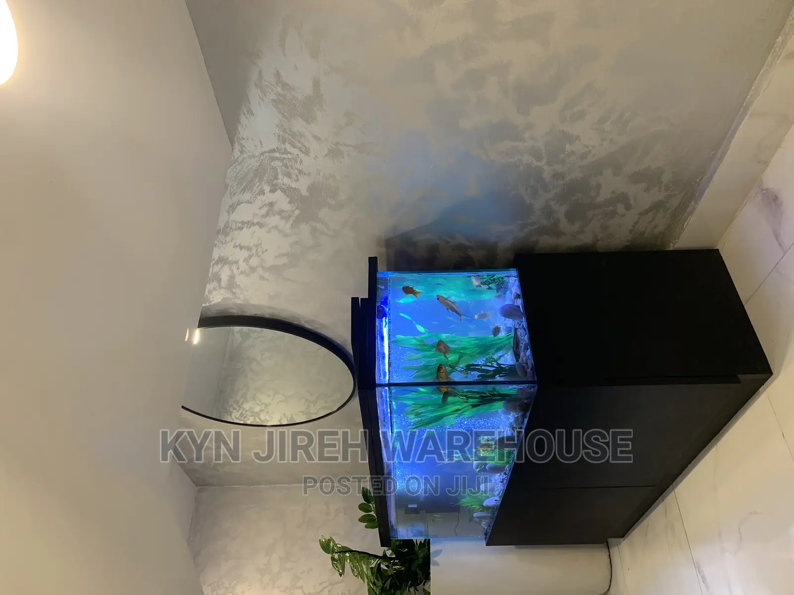 Brah Kwame Aquarium With 10 Fishes