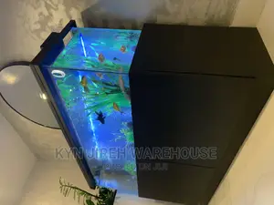 Brah Kwame Aquarium With 10 Fishes