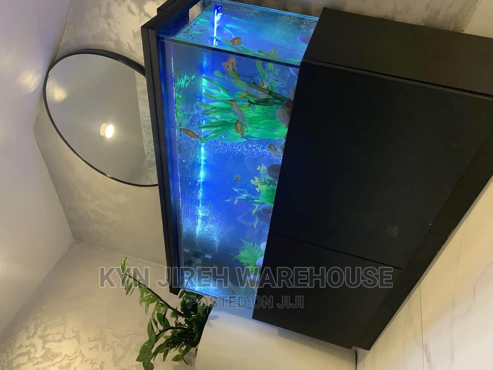 Brah Kwame Aquarium With 10 Fishes