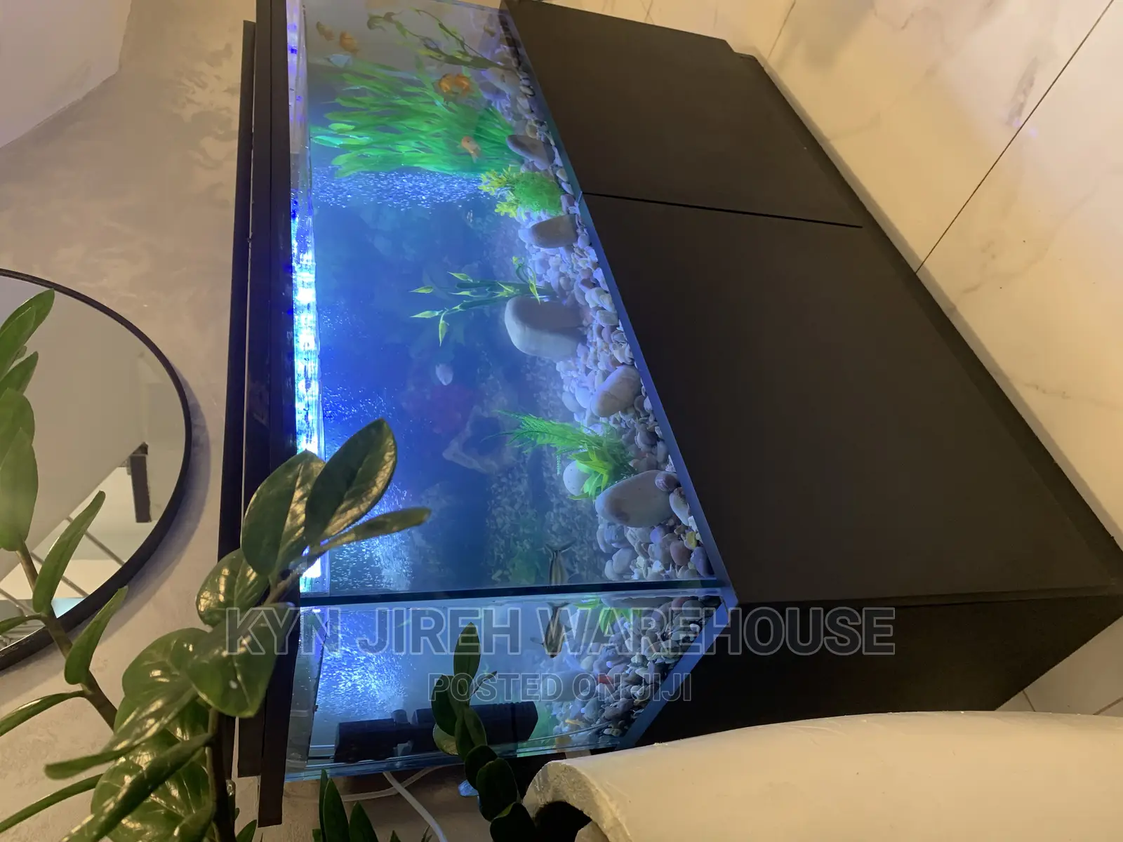 Brah Kwame Aquarium With 10 Fishes