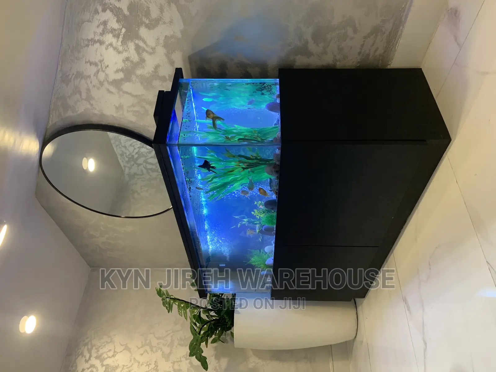 Brah Kwame Aquarium With 10 Fishes