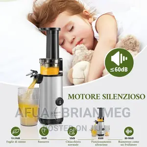 Keenray Slow Masticating Juicer